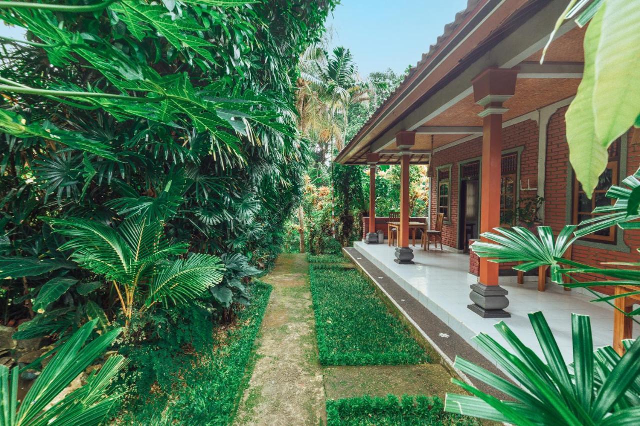 Suastika Lodge Ubud Exteriér fotografie