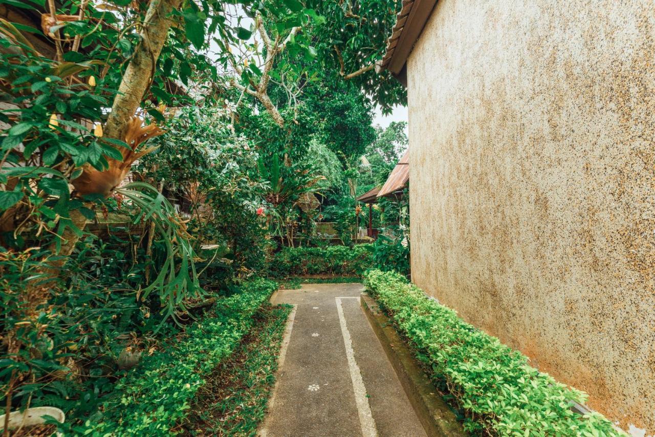 Suastika Lodge Ubud Exteriér fotografie